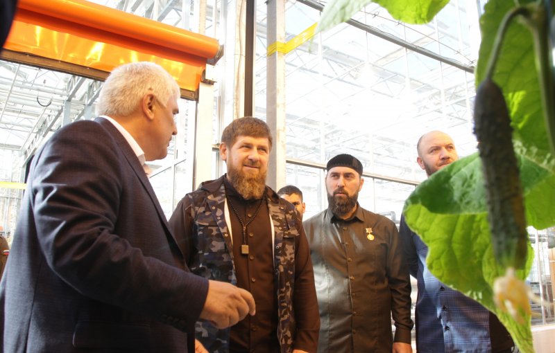 ЧЕЧНЯ. В Чечне запустили филиал тепличного комплекса "ЮгАгроХолдинг"