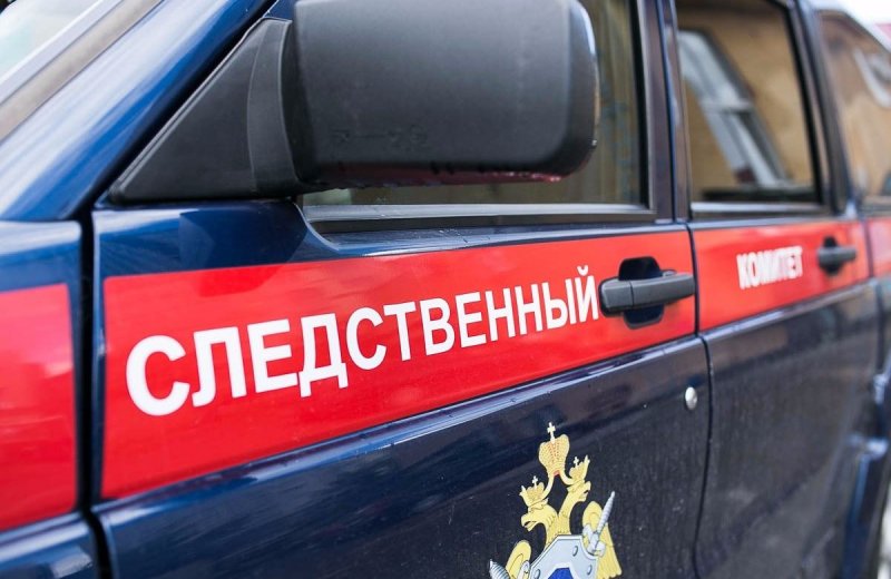 КРАСНОДАР. Глава СК передал в центральный аппарат дело о гибели 9-летней девочки в 2015 году в Краснодарском крае