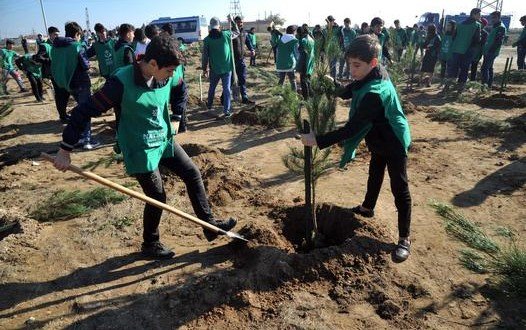АЗЕРБАЙДЖАН. Общественное объединение "Региональное развитие" организовало посадку деревьев в Сураханском районе