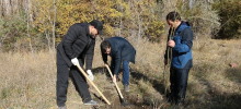 ДАГЕСТАН. В Дагестане вплотную взялись за восстановление Эльтавского леса