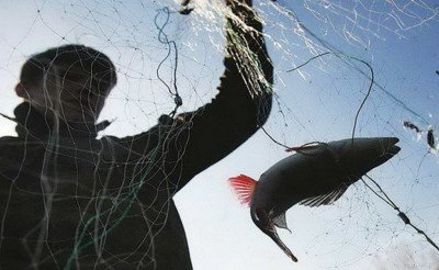 КАЛМЫКИЯ. Полицейские разыскали пропавшего рыбака