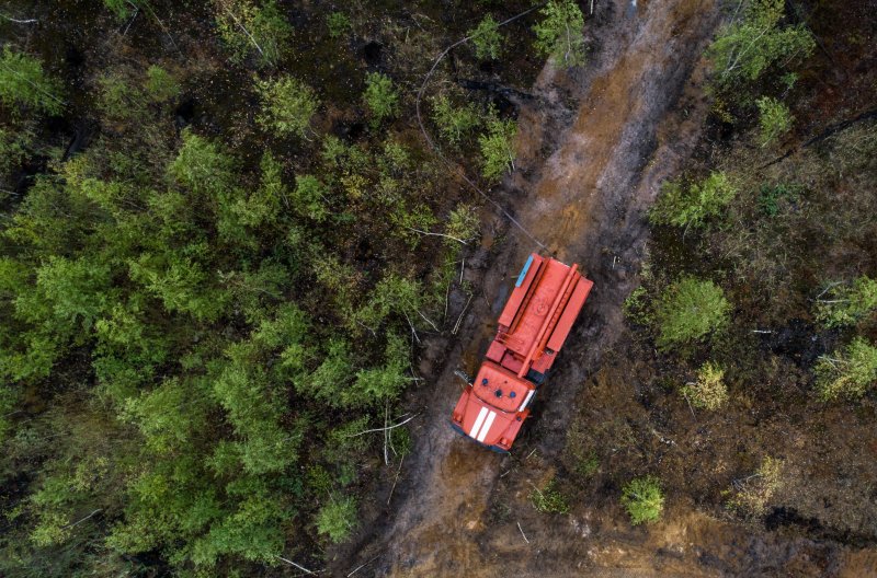 КБР. Возле «Архыза» начался крупный лесной пожар