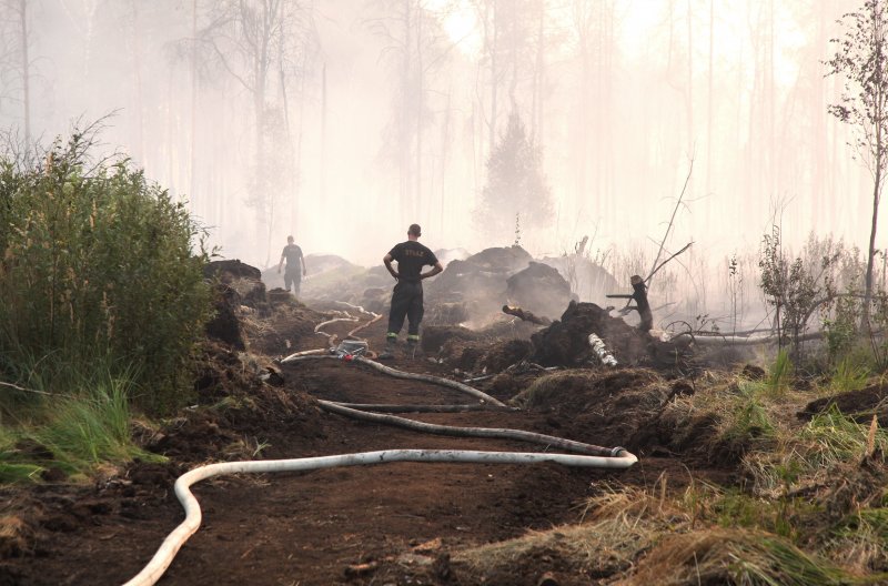 КЧР.  В горах Карачаево-Черкесии горит лес