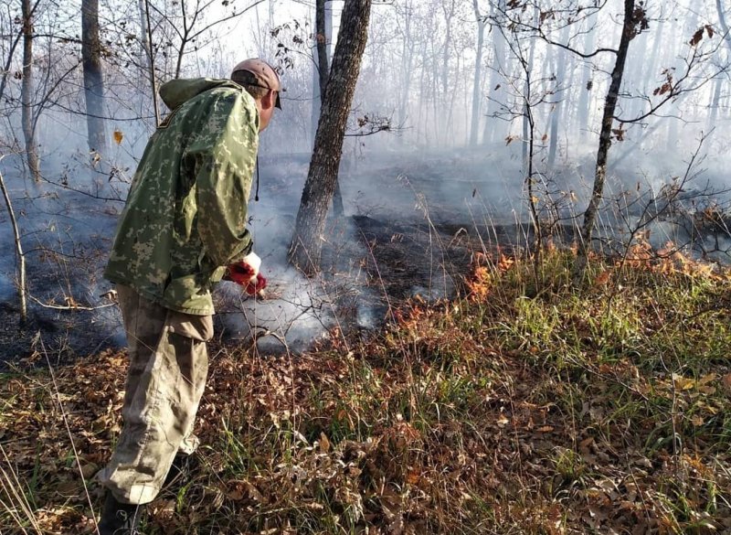 КРАСНОДАР. В Северском районе локализованы все лесные пожары