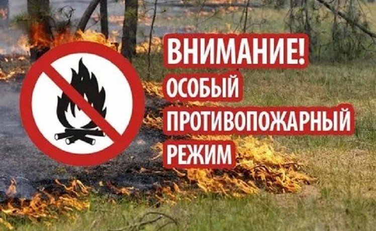 КРАСНОДАР. В Туапсинском районе введен особый противопожарный режим и запрет на посещение леса