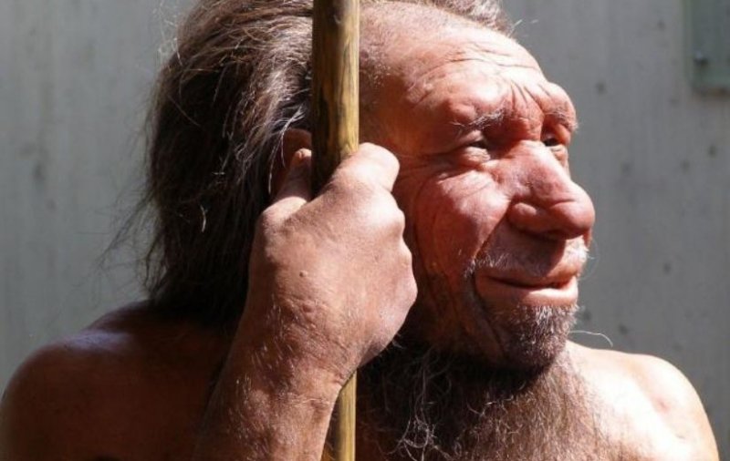 Неандертальцы могли вымереть и без конкуренции с сапиенсами