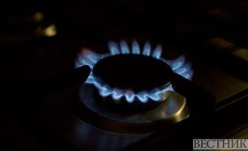 АЗЕРБАЙДЖАН. Грузия в новом году получит почти 93% газа из Азербайджана, 7% - из России