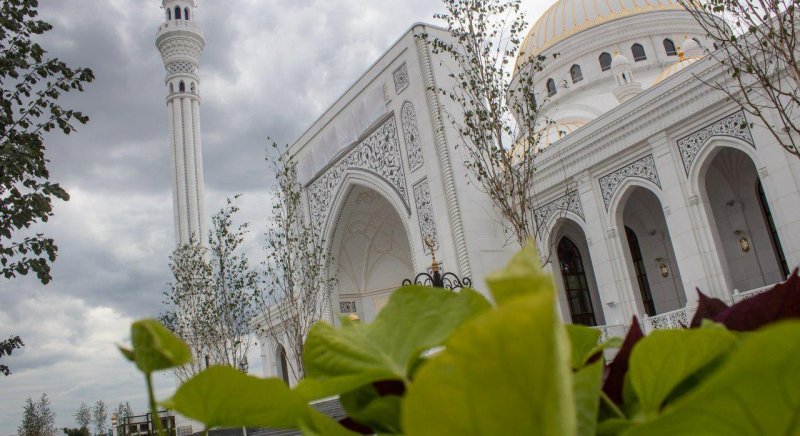 ЧЕЧНЯ. Фонд Кадырова за 2019 год возвел 37 новых мечетей в Чечне