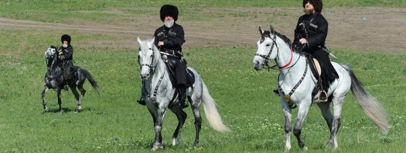 ЧЕЧНЯ. Рамзан Кадыров сообщил о выводе новой породы скакунов в Чечне