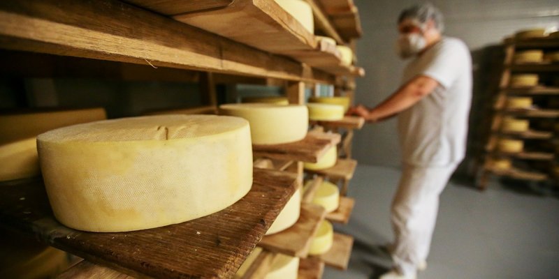 ЧЕЧНЯ. Итальянцы собираются запустить в Чечне предприятия по производству сыров