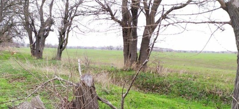 ЧЕЧНЯ. Россельхознадзор провел проверку в Гудермесском районе