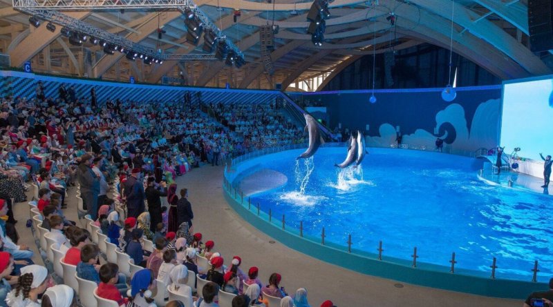 ЧЕЧНЯ. В Грозном более 300 детей получили возможность увидеть шоу с участием дельфинов