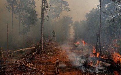 Ди Каприо ответил на обвинения в поджоге лесов Амазонии