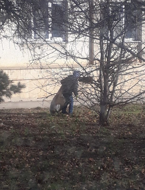 СТАВРОПОЛЬЕ. Юного борца с мусором разыскивают в Железноводске