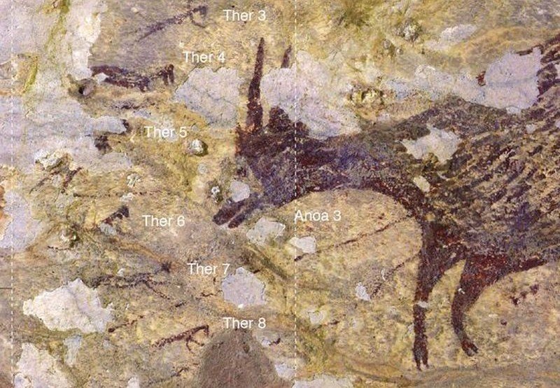 Ученые показали древнейший рисунок в истории человечества