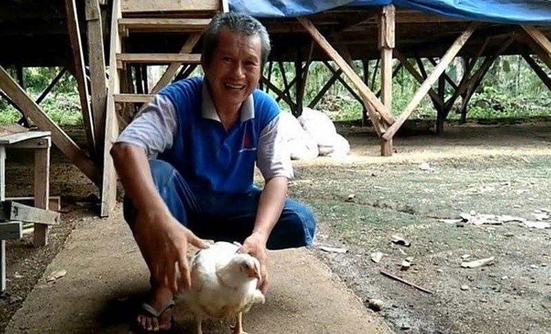 В Индонезии обнаружили курицу-мутанта