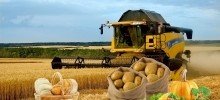 ДАГЕСТАН. Дагестан в 2020 году нарастит объем сельхозпродукции