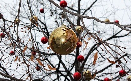Новогодние декорации едва не убили россиянку