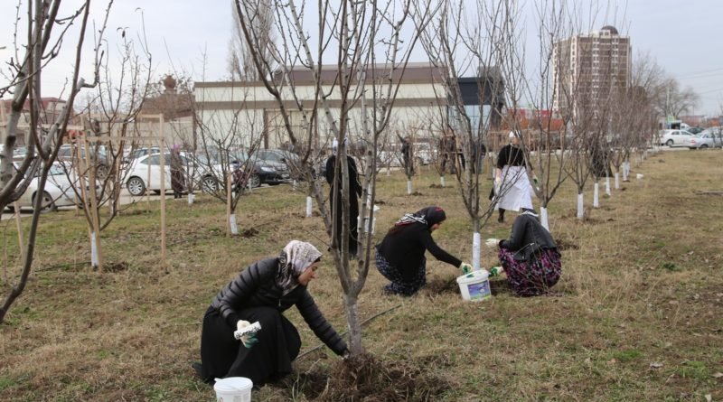 ЧЕЧНЯ.  Минавтодор принял участие в общегородском субботнике