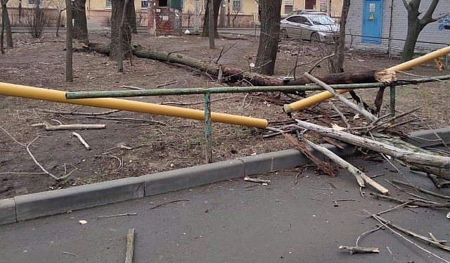 РОСТОВ. В Ростове упавшее дерево разломило газовую трубу