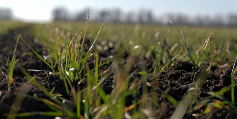 СТАВРОПОЛЬЕ. Аграрии Ставрополья обсудили агрохимическое обеспечение весенних полевых работ