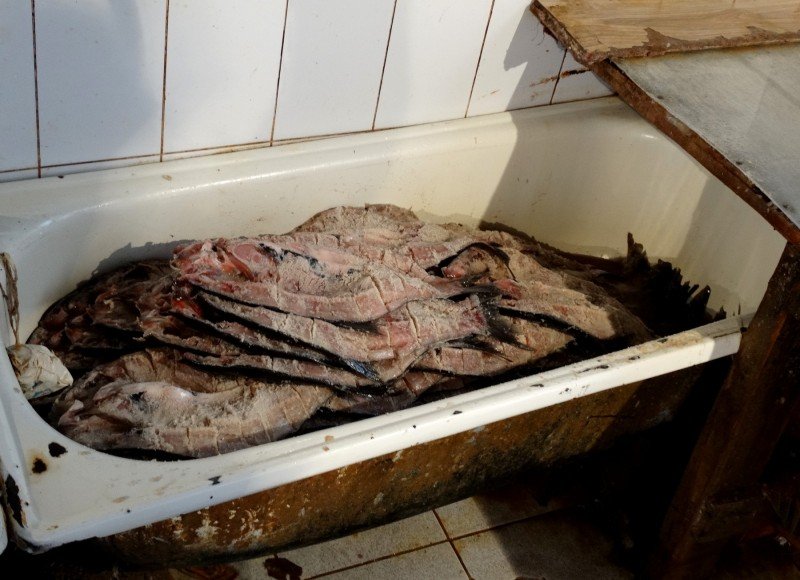АСТРАХАНЬ. В Астрахани полицейские изъяли тонны немаркированной рыбной продукции