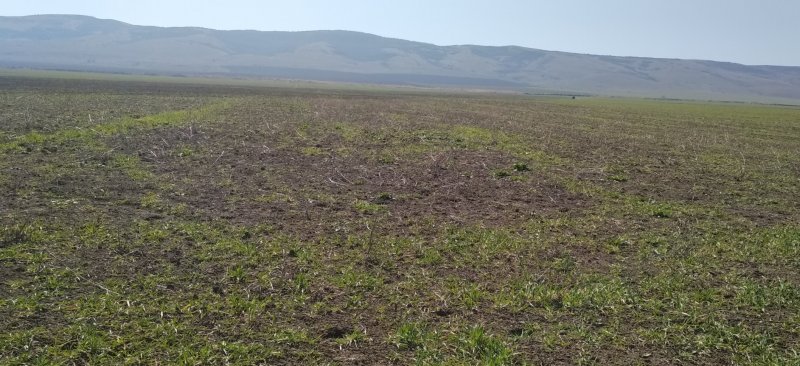 ЧЕЧНЯ.  Арендатором нарушены требования земельного законодательства