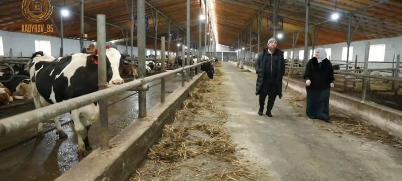 ЧЕЧНЯ. Рамзан Кадыров вместе с семьей побывал на одной из ферм в Ахмат-Юрте