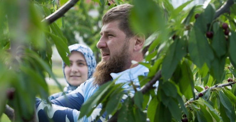 ЧЕЧНЯ. Рамзан Кадыров посоветовал, чем заняться на карантине