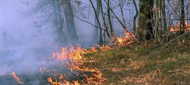 ЧЕЧНЯ. В Чеченской Республике открыт пожароопасный сезон