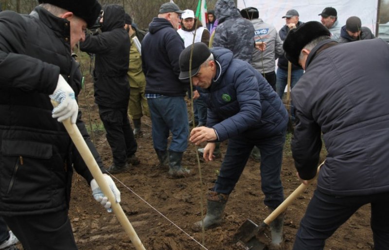 ЧЕЧНЯ. В Чечне планируется высадить около 45000 саженцев в рамках Международной акция «Сад памяти»