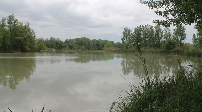 ЧЕЧНЯ. В Чечне за 132 млн рублей реабилитируют озеро