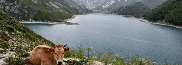 ЧЕЧНЯ.  Власти Чечни вместо отдыха в Европе предложили россиянам поехать на курорты Кавказа