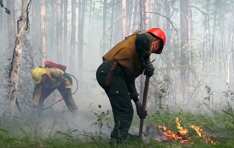 ЧЕЧНЯ.В 11 субъектах РФ (в том числе и Грозном) уже открыт пожароопасный сезон