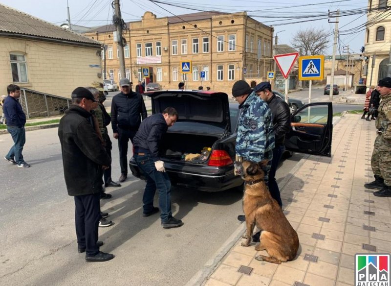 ДАГЕСТАН. Более 5 кг наркотических средств незаконно пытался ввезти в Россию гражданин Азербайджана