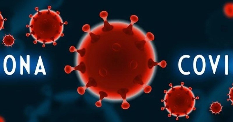 КРЫМ. Новых случаев коронавируса в Севастополе не выявлено
