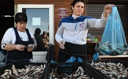 Названы самые популярные у россиянок профессии