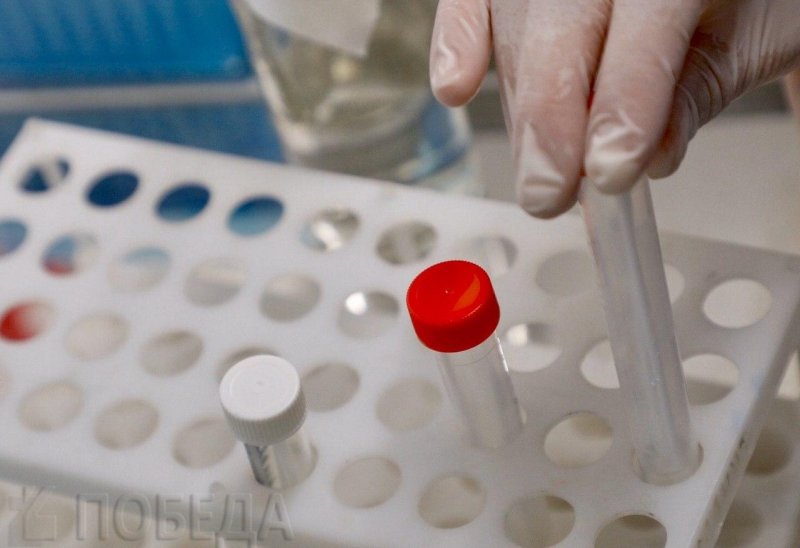 СТАВРОПОЛЬЕ. Замминистра здравоохранения Ставрополья: более тысячи тестов на коронавирус дали отрицательный результат