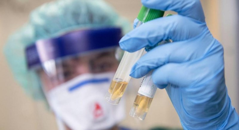 В России выявили шесть новых случаев коронавируса