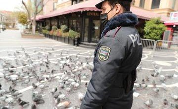 АЗЕРБАЙДЖАН. Бакинские полицейские покормили голубей (ФОТО)