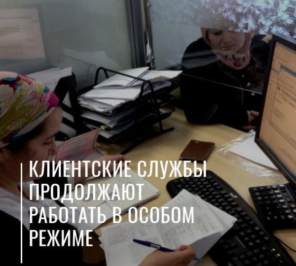 ЧЕЧНЯ. Специалисты Отделения ПФР по ЧР в режиме онлайн ответят на вопросы жителей республики
