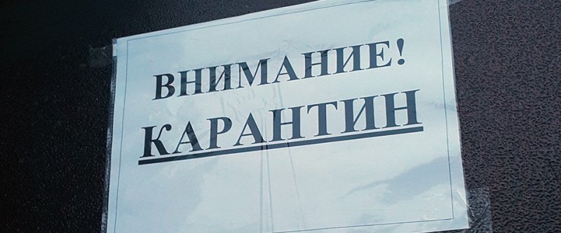 ЧЕЧНЯ. В Чеченской Республике снято с карантина 657 человек