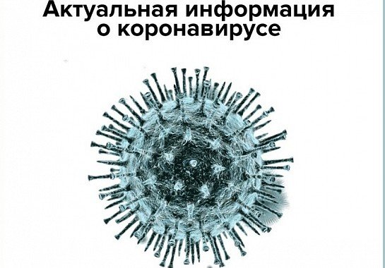 КАЛМЫКИЯ. В Калмыкии число подтвержденных случаев заражения коронавирусом выросло до семи человек