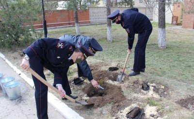 КАЛМЫКИЯ. В Калмыкии полицейскими дан старт проекту «75 кустов роз к 75-летию Победы»