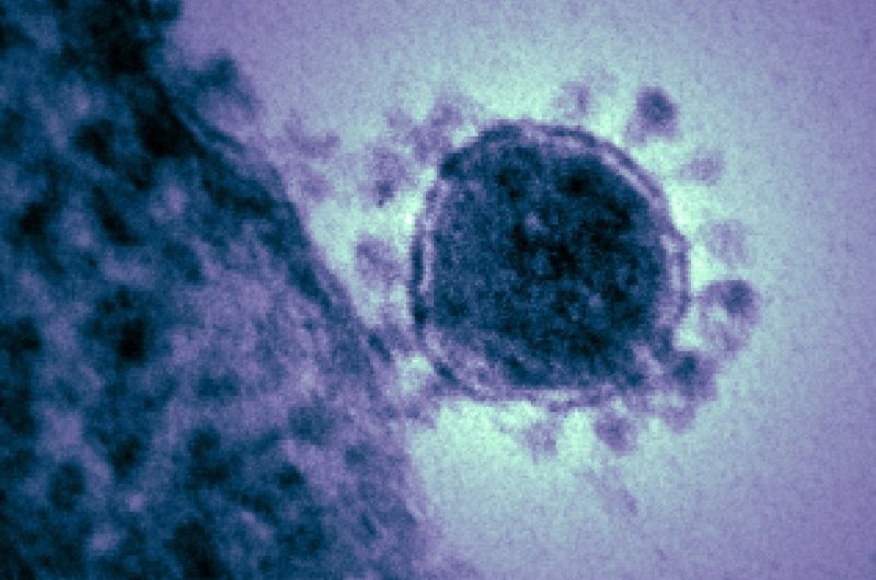REGNUM - Кто же изобрёл коронавирус?