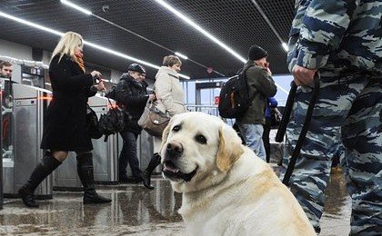 В Петербурге временно закроют девять станций метро