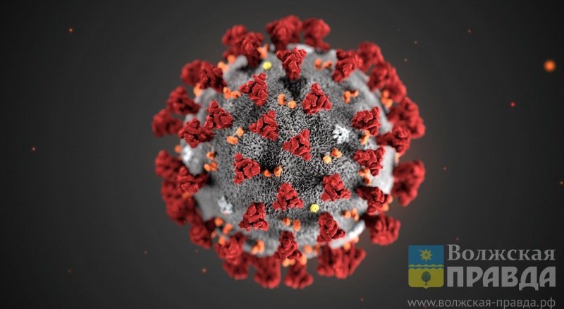 ВОЛГОГРАД. В Волгоградской области зафиксировано ещё два летальных исхода от COVID-19