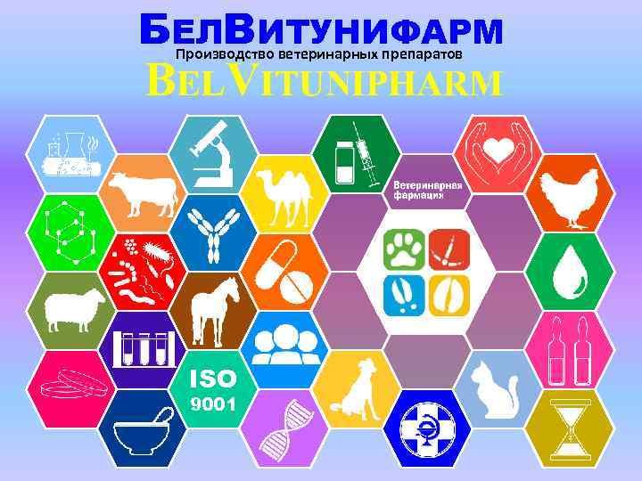 ЧЕЧНЯ. Управление Россельхознадзора по Чеченской Республике информирует о несоответствии лекарственного средства