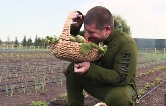 ЧЕЧНЯ. Кадыров показал свой огромный огород