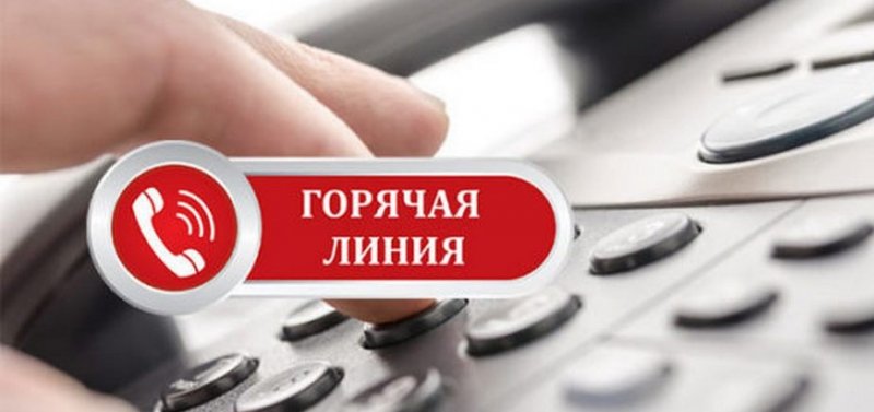 ЧЕЧНЯ. В Чеченской Республике открылась «горячая линия» по вопросам детского отдыха
